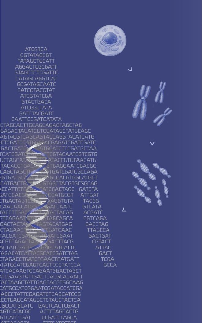 Gnothis — DNA sequencing illustration